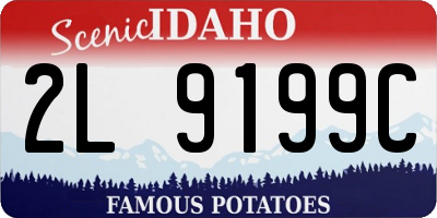 ID license plate 2L9199C