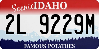 ID license plate 2L9229M