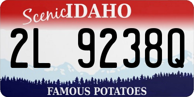 ID license plate 2L9238Q