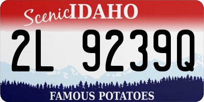 ID license plate 2L9239Q