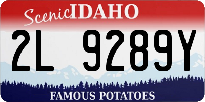 ID license plate 2L9289Y