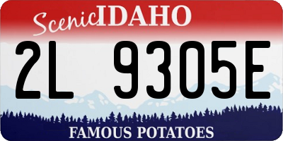 ID license plate 2L9305E
