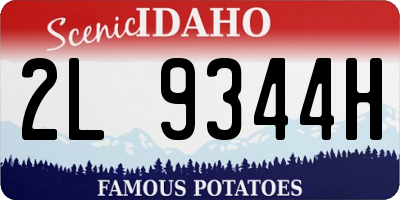 ID license plate 2L9344H