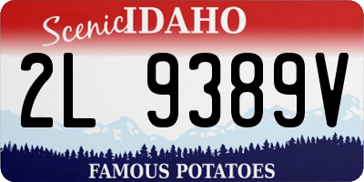 ID license plate 2L9389V