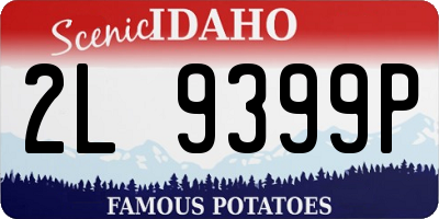 ID license plate 2L9399P