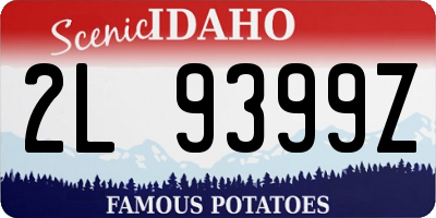 ID license plate 2L9399Z