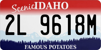 ID license plate 2L9618M