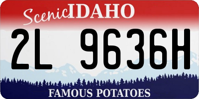 ID license plate 2L9636H