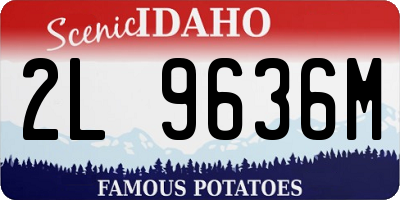 ID license plate 2L9636M