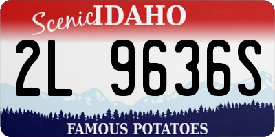 ID license plate 2L9636S