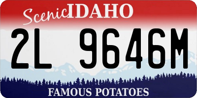 ID license plate 2L9646M