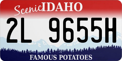 ID license plate 2L9655H