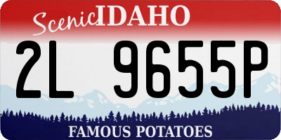 ID license plate 2L9655P