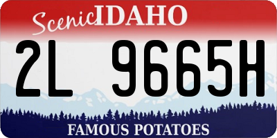 ID license plate 2L9665H