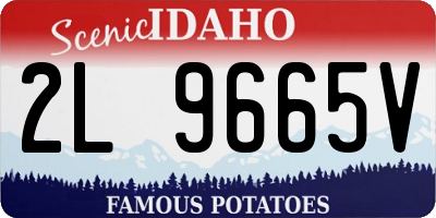 ID license plate 2L9665V