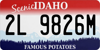 ID license plate 2L9826M