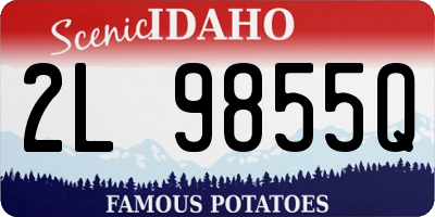 ID license plate 2L9855Q
