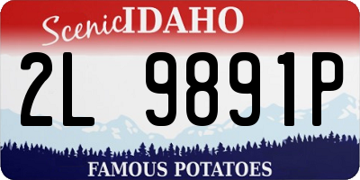 ID license plate 2L9891P