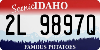 ID license plate 2L9897Q
