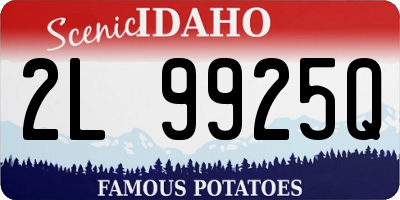 ID license plate 2L9925Q