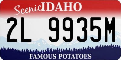 ID license plate 2L9935M