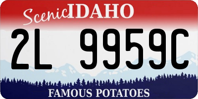 ID license plate 2L9959C