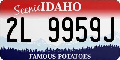 ID license plate 2L9959J