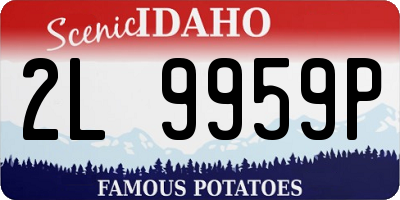 ID license plate 2L9959P
