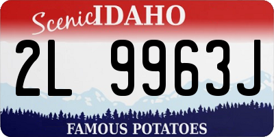 ID license plate 2L9963J