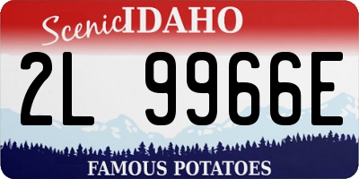 ID license plate 2L9966E