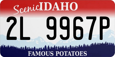 ID license plate 2L9967P