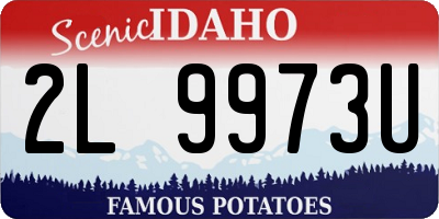 ID license plate 2L9973U