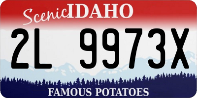 ID license plate 2L9973X