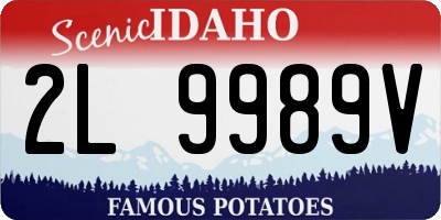 ID license plate 2L9989V
