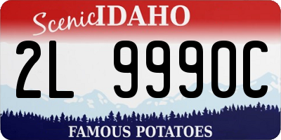 ID license plate 2L9990C