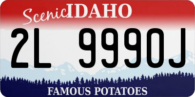 ID license plate 2L9990J