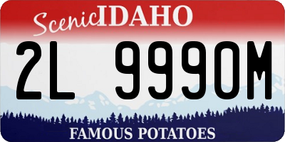 ID license plate 2L9990M