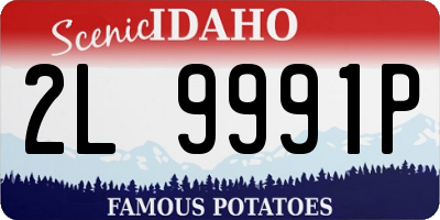 ID license plate 2L9991P