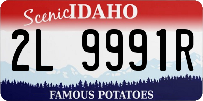 ID license plate 2L9991R