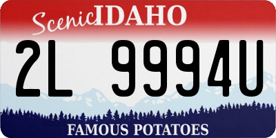 ID license plate 2L9994U