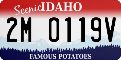 ID license plate 2M0119V