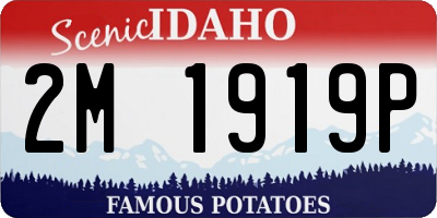 ID license plate 2M1919P