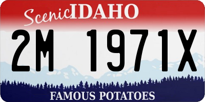 ID license plate 2M1971X