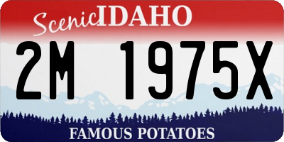ID license plate 2M1975X