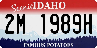 ID license plate 2M1989H