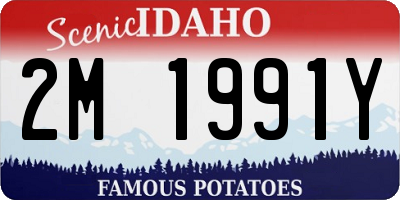 ID license plate 2M1991Y