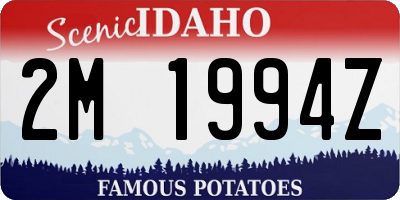 ID license plate 2M1994Z