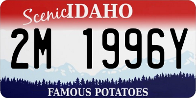 ID license plate 2M1996Y