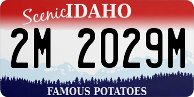 ID license plate 2M2029M
