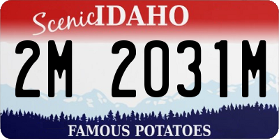 ID license plate 2M2031M